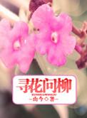 何寻的意思