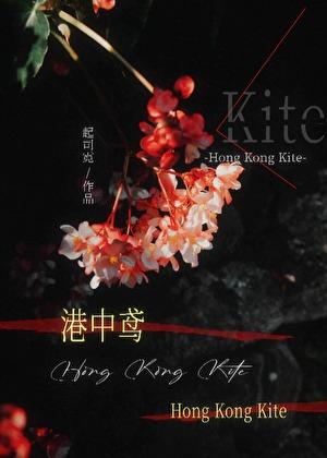 港中鸢百度