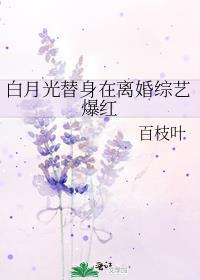 白月光替身梗言情