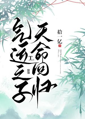 气运之子天命回归by拾一亿百度