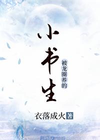 小书生 作者衣落成火