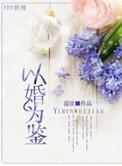 以婚为鉴txt百度