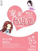 重生之宠妻之路改文