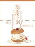 明星系统文