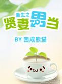 重生之贤妻难为无删减