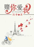 赌你爱我在线阅读