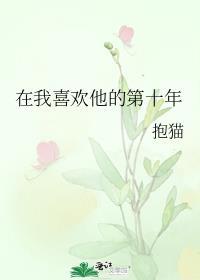这是我喜欢他的第十年