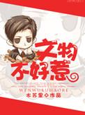 文物不好惹是什么类型的