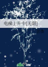 电梯上升中[无限