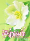 温柔的你是什么歌里的歌词