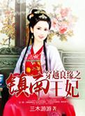 穿越良缘之镇南王妃百度