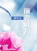 前妻重生gl
