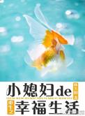 重生之小媳妇儿 房