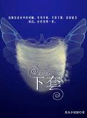 下套全文免费阅读