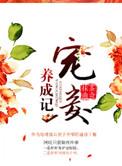 宠妾养成记沈腕之