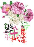 穿越八十年代农家媳 臧白