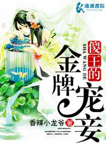 傻王宠妃