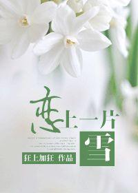 27.恋上一片雪 作者狂上加狂