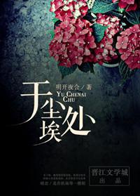 于尘埃处讲了什么