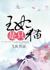 王妃是只猫角色介绍