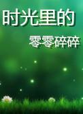 时光里的零零碎碎简介