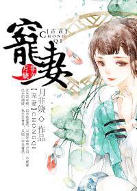 重生之宠妻入局免费阅读