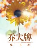 乔大牌完结 番外