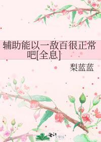 辅助可以输出吗
