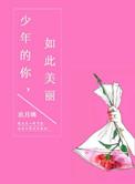 如此美丽电视剧