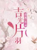 吉光片羽可以形容岁月吗