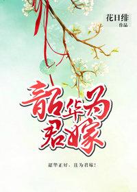 韶华为君嫁txt百度链接