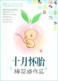 十月怀胎胎儿发育过程