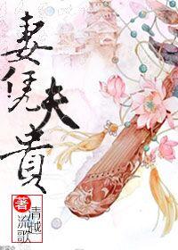 妻凭夫贵内容是什么