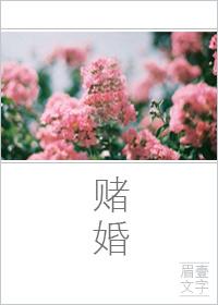 赌婚入局