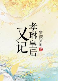 孝琳皇后又记 紫莜dxm