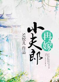 再嫁小夫郎有声