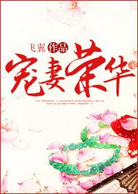 宠妻荣华飞翼全文TXT