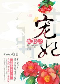 红楼之宠妃2k