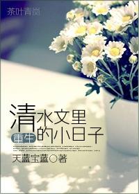类似重生清水文里的小日子