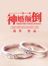 神婚颠倒茴笙讲的什么