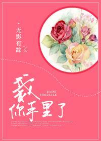 栽你手里了 无影有踪讲的什么