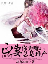 正妻bymnbv阅读