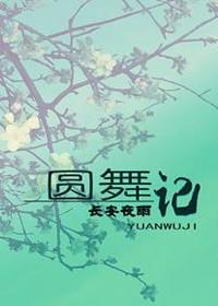圆舞记长安夜雨百度