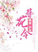 簪花令后续