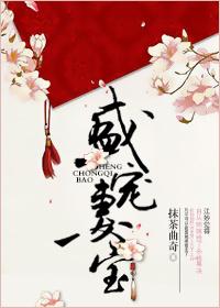 盛宠妻宝笑佳人