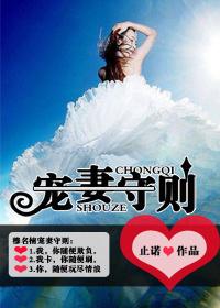 宠妻法则 作者窨九