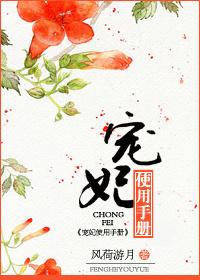 宠妃使用手册作者风荷游月