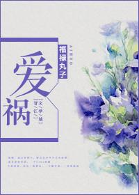 爱祸福禄丸子讲了什么