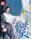 我欲封天镜子来历