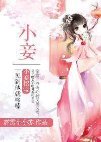 小妾最大